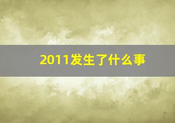 2011发生了什么事