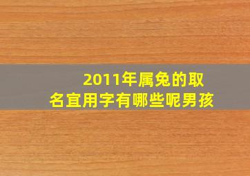 2011年属兔的取名宜用字有哪些呢男孩