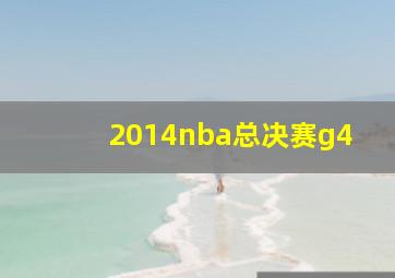 2014nba总决赛g4