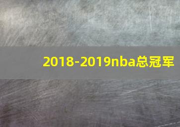 2018-2019nba总冠军