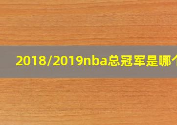 2018/2019nba总冠军是哪个队