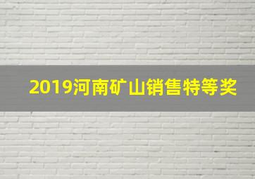 2019河南矿山销售特等奖