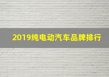 2019纯电动汽车品牌排行