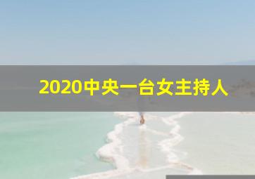 2020中央一台女主持人