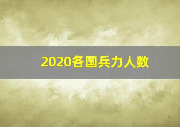 2020各国兵力人数