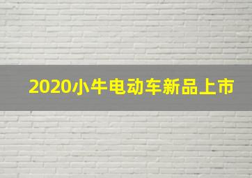 2020小牛电动车新品上市