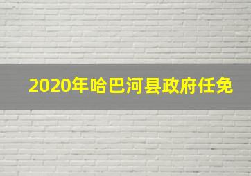 2020年哈巴河县政府任免