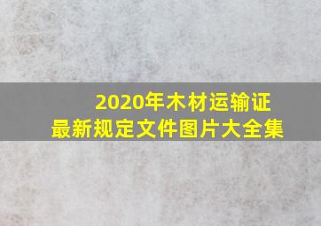 2020年木材运输证最新规定文件图片大全集