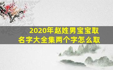 2020年赵姓男宝宝取名字大全集两个字怎么取