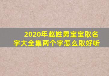 2020年赵姓男宝宝取名字大全集两个字怎么取好听