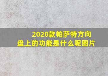 2020款帕萨特方向盘上的功能是什么呢图片