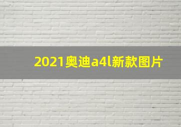 2021奥迪a4l新款图片