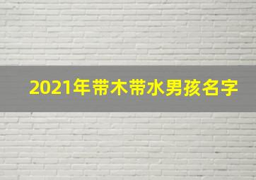 2021年带木带水男孩名字