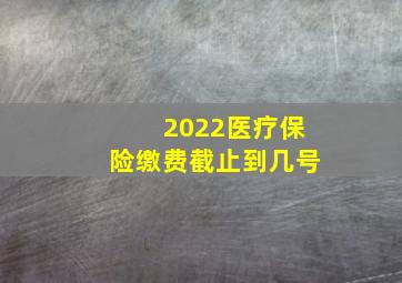 2022医疗保险缴费截止到几号