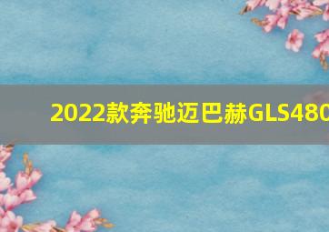 2022款奔驰迈巴赫GLS480