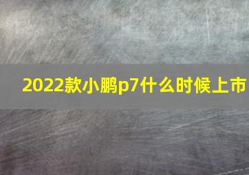 2022款小鹏p7什么时候上市