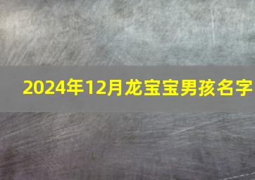 2024年12月龙宝宝男孩名字