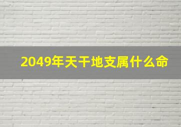 2049年天干地支属什么命