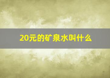 20元的矿泉水叫什么