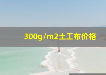 300g/m2土工布价格