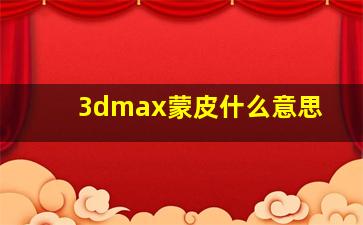 3dmax蒙皮什么意思