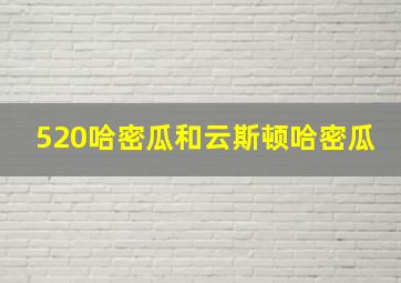 520哈密瓜和云斯顿哈密瓜