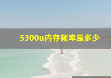 5300u内存频率是多少