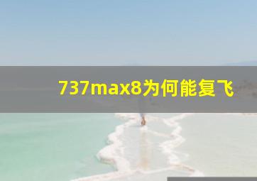 737max8为何能复飞