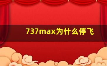 737max为什么停飞