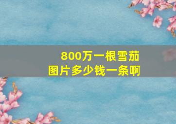 800万一根雪茄图片多少钱一条啊