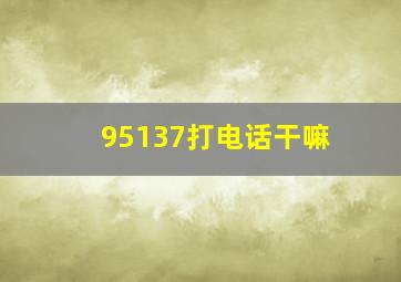 95137打电话干嘛