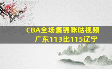 CBA全场集锦咪咕视频广东113比115辽宁