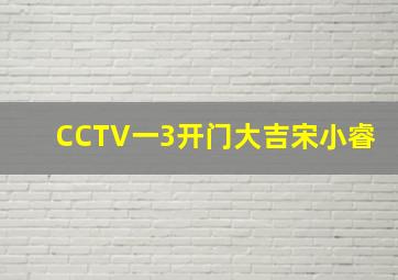 CCTV一3开门大吉宋小睿