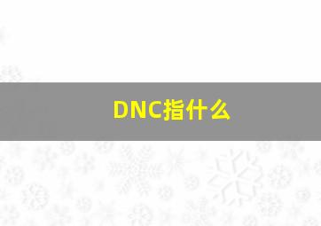 DNC指什么