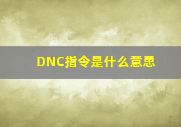 DNC指令是什么意思