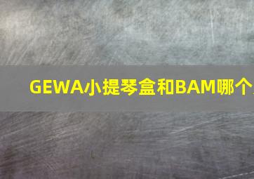 GEWA小提琴盒和BAM哪个好