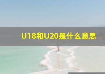 U18和U20是什么意思