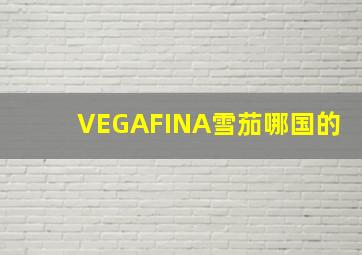 VEGAFINA雪茄哪国的