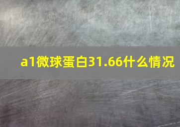 a1微球蛋白31.66什么情况