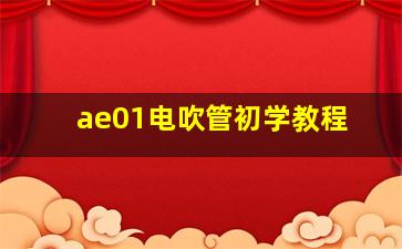 ae01电吹管初学教程