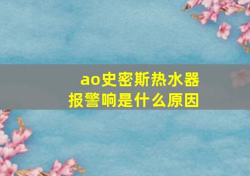 ao史密斯热水器报警响是什么原因