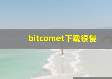 bitcomet下载很慢