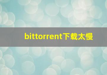 bittorrent下载太慢