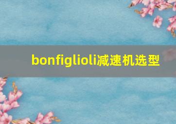 bonfiglioli减速机选型