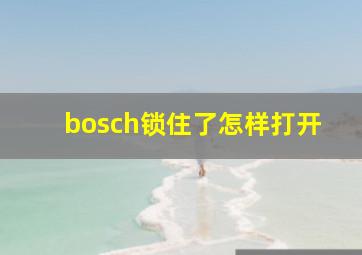 bosch锁住了怎样打开