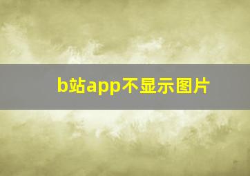 b站app不显示图片