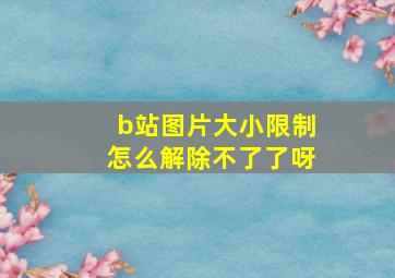 b站图片大小限制怎么解除不了了呀