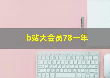 b站大会员78一年