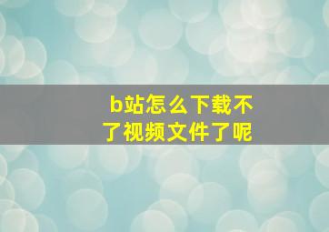 b站怎么下载不了视频文件了呢