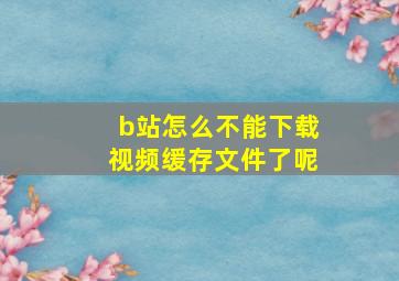 b站怎么不能下载视频缓存文件了呢